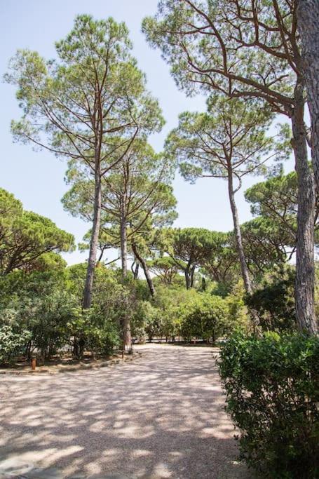 Villa Roccapini Castiglione della Pescaia Exteriér fotografie